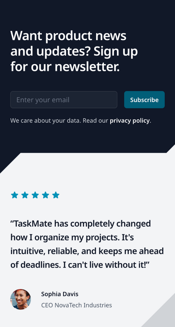 Example Landing Page 3